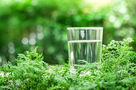 天然绿色背景上的一杯清凉淡水图片