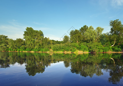 河流和春天的绿色森林自然组成图片