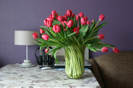 桌子上的一束红色郁金香背景图片