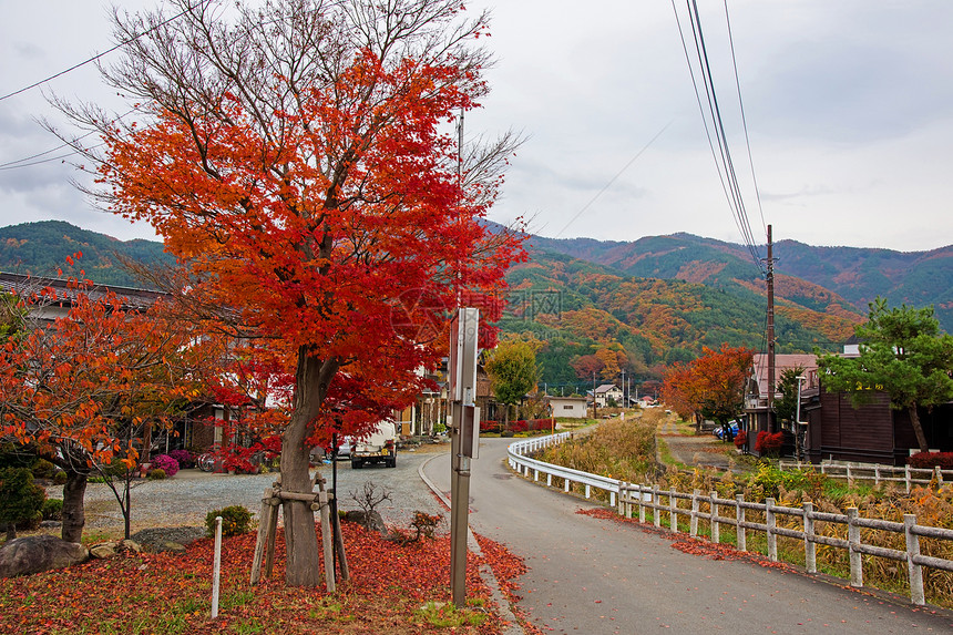 日本川口子山附近山边有秋图片