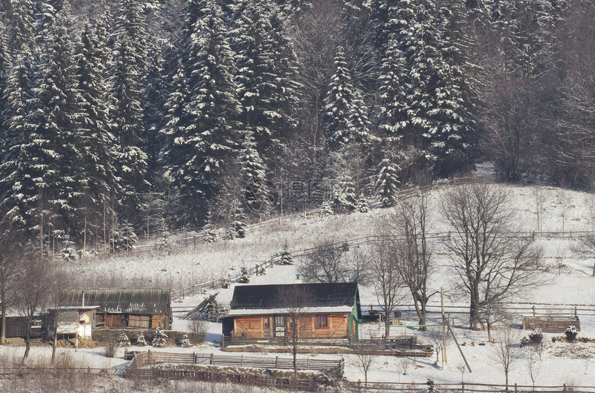 冬季山村全景乌克兰喀尔巴阡山省图片