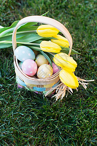 草地东西方和春季概念篮子中的彩色东蛋图片