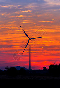 风力涡轮机农场的生态图片