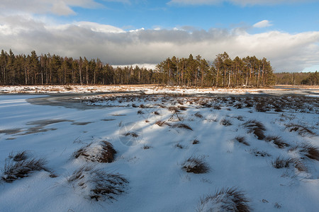 冬日美丽的北方风景图片