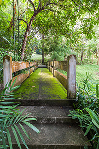 泰国花园里长满苔藓的水泥桥图片