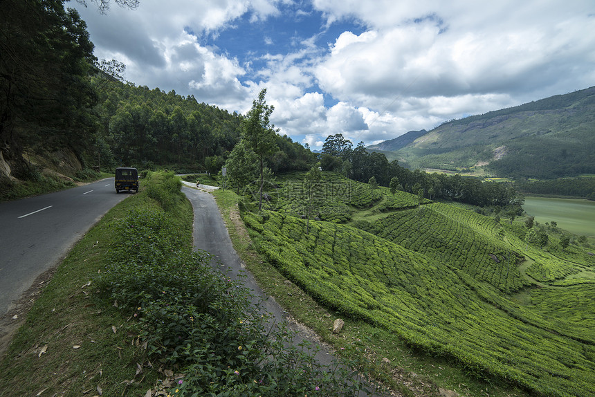 印度门纳尔茶叶种植图片