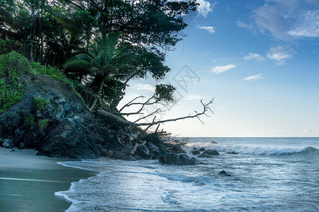 特立尼达特立尼达和多巴哥海滨图片