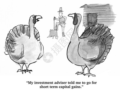 财务顾问建议为火鸡提供短期资金图片