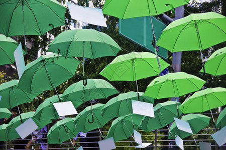 首尔雨伞展图片