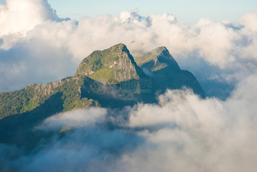 早晨亚高山森林山雾峰图片