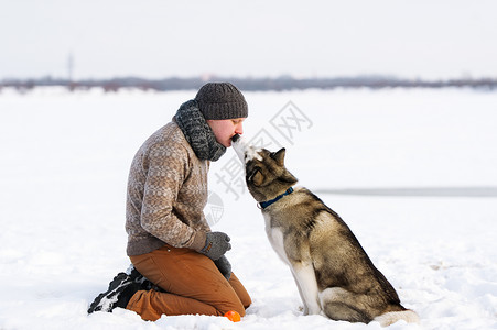 驯兽师亲吻一只西伯利亚哈士奇犬图片