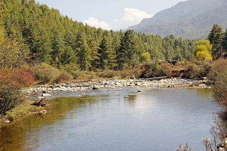 不丹Chhume河谷的河流和森林图片
