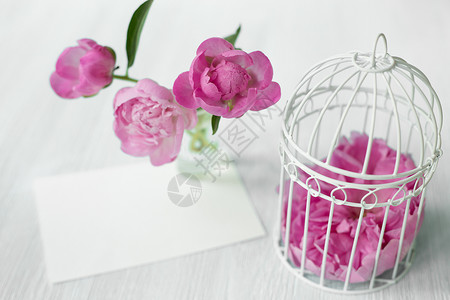 白色木桌上的粉红色牡丹花图片