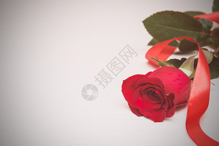 红玫瑰与浅色木制背景上的丝带妇女节情人节母亲节复制空间图片