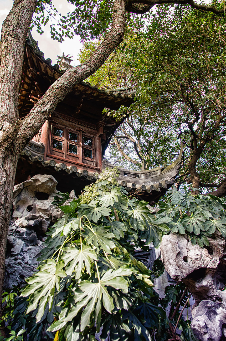 上海YuYuYuan花园的图片