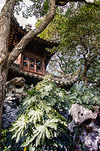 上海YuYuYuan花园的图片