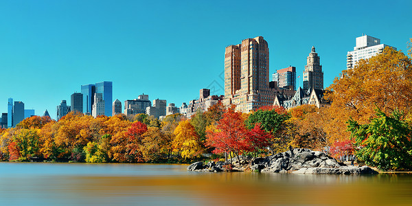 纽约市曼哈顿湖对面的中央公园秋和图片