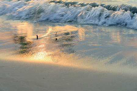 黎明时分的光反射在白色沙滩背景上图片