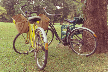 公园里的自行车旧的反弹图片