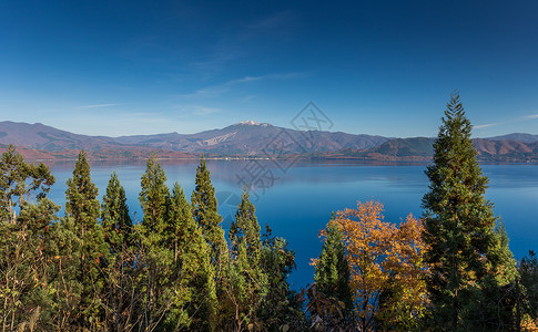 日本秋田天树林和山湖的美丽景色图片