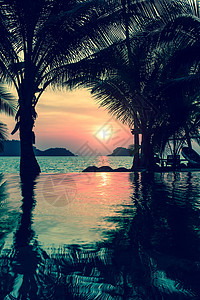 热带海岸美丽的日落棕图片