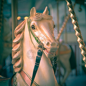 马头在欢乐中环绕一个历史夏季游乐场长图片