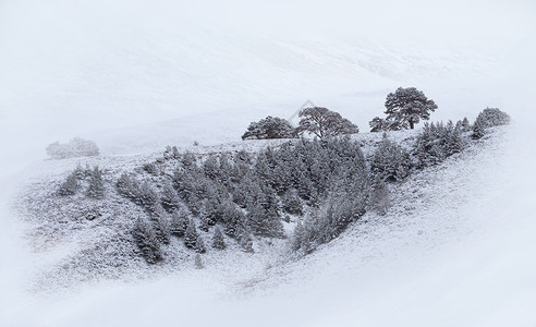 在英国苏格兰高地Cairngorms的Glenmo图片