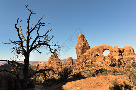 在Arches公园背景图片