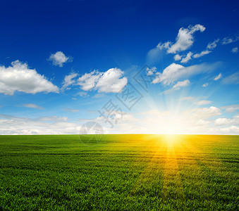 绿色的田野蓝天和太阳图片