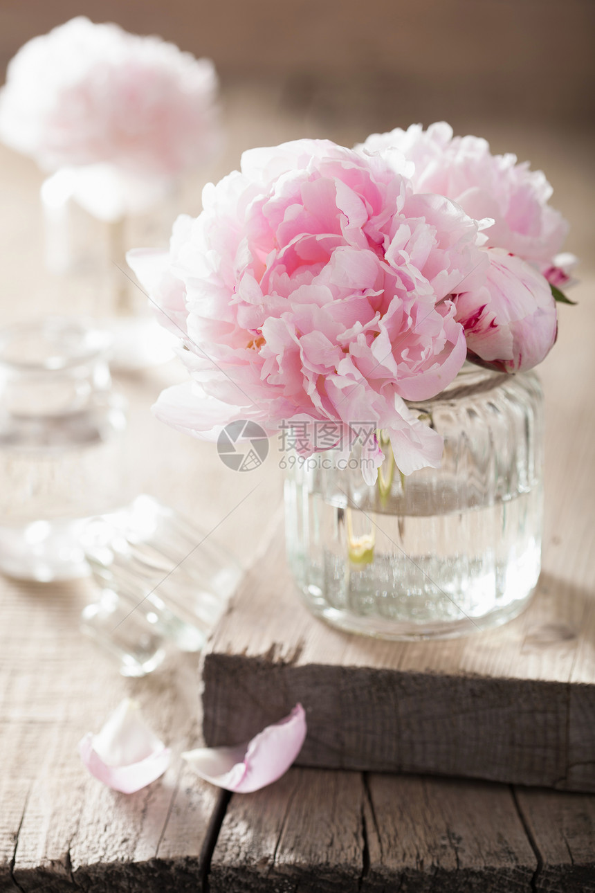 花瓶中美丽的粉图片