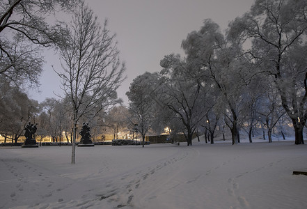 公园里的冬天夜景树木和脚印图片