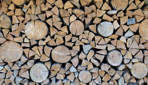 许多树木和砍柴木的锯木伐图片