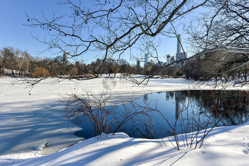 暴风雪过后的纽约市中央公园图片