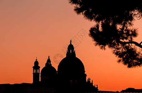 威尼斯大教堂圆顶和日落时的树剪影惊人的燃烧的天空图片