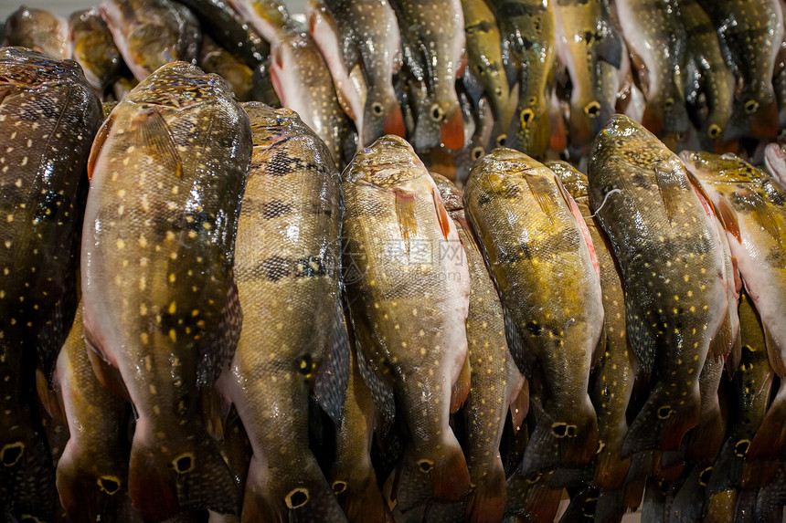 马瑙斯鱼贩的鱼图片