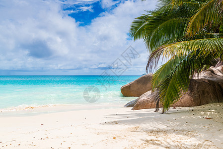 美丽的热带海滩塞舌尔图片