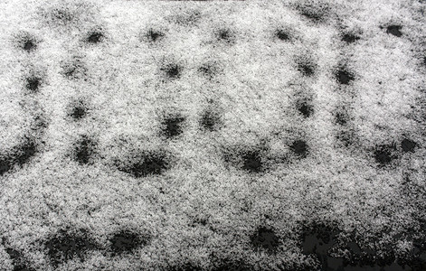 黑车上的雪季节背景和纹理图片