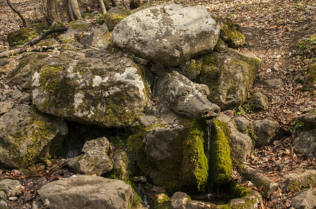 石刻龙首山林泉背景图片