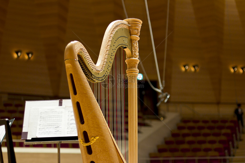 大音乐厅里的竖琴乐器图片