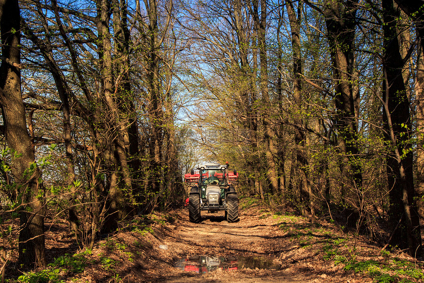 春林中天然土壤道路上大轮子上的拖拉机播种器图片