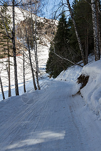 冬季的滑雪胜地上树木在阿拉木图附近的图片