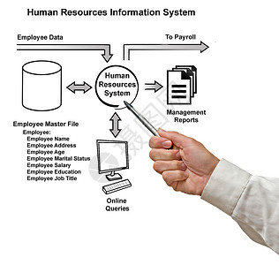 人力资源信息系统图片