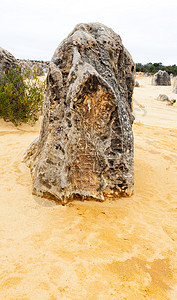 Pinnacles是西澳大利亚州塞万提斯镇附近的南邦公图片