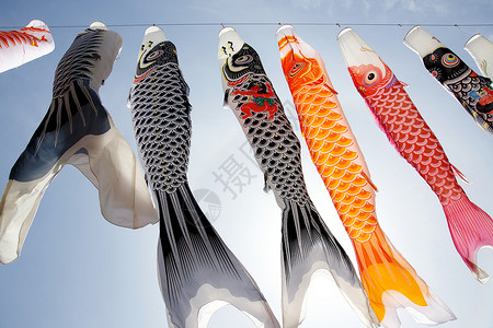 日本鲤鱼风筝飘带图片