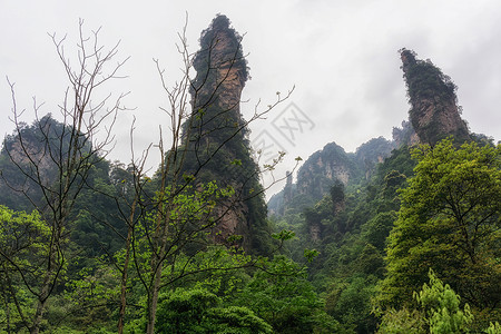 金鞭崖杨家界风景名胜区张家界山水景观背景