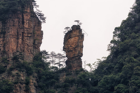 杨家堂杨家界风景名胜区张家界山水景观背景