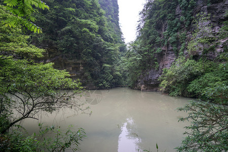 鸳鸯溪大峡谷大峡谷的底部有溪流围绕小溪水的森林和背景