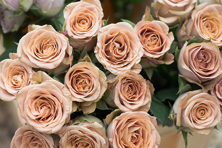 独特的婚礼鲜花五颜六色的玫瑰背景图片