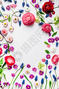 花环框架与玫瑰穆斯卡里洋甘菊毛茛树枝叶子花瓣和芽孤立在白色背景上图片
