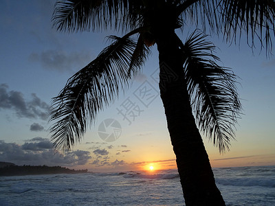 日落穿过椰子树在大海上与波浪滚动图片